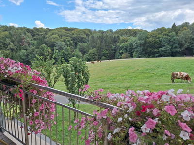 Bild 109 aus  Grabenbauer