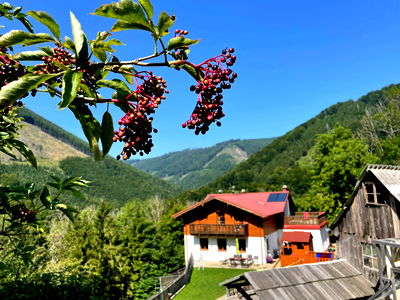Bild 21 aus Büchlhof – Zeit.zum.Leben
