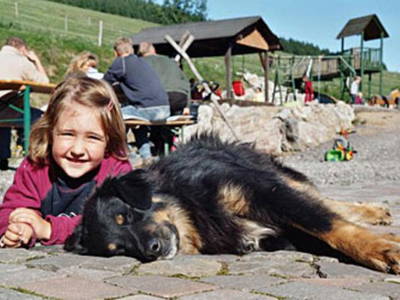 Bild 15 aus  Heinemanns Hof