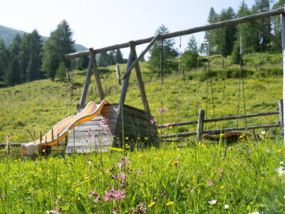 Bild 281 aus  Wolfsbachhütte