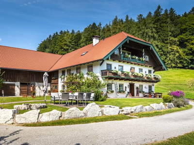 Bild 119 aus  Wohlfühlbauernhof Bambichlgut