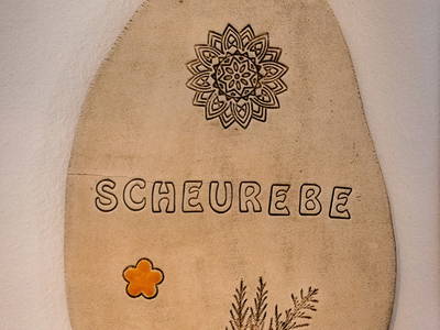 Bild 54 aus  Weinhof Reichmann