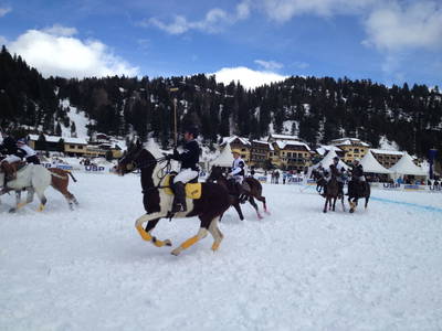 Bild 70 aus  Schrunerhof