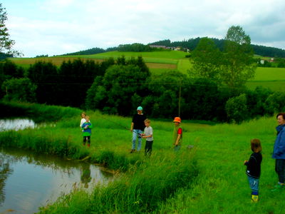 Bild 7 aus Biohof Schafflhof