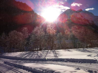 Bild 50 aus  Alfaierhof & Bergheimat