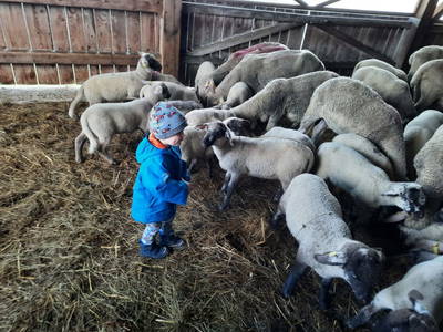 Bild 25 aus  Ferienhaus Gegg vlg. Pauritschmichl