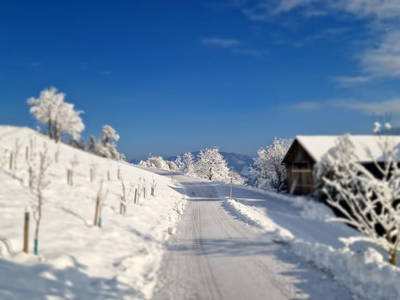 Bild 190 aus  Ferienhof Rabenreith