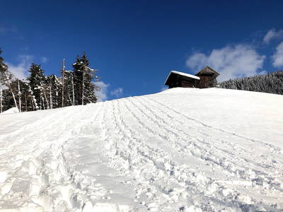 Bild 19 aus TESTHOF Oberösterreich