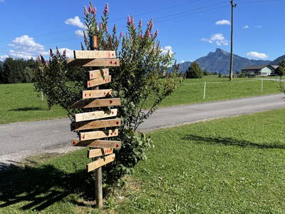 Bild 27 aus  Ferienhof Hinterstrasser Fam. Putz