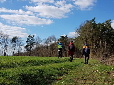 Bild 38 aus  Ferienhof Borchers