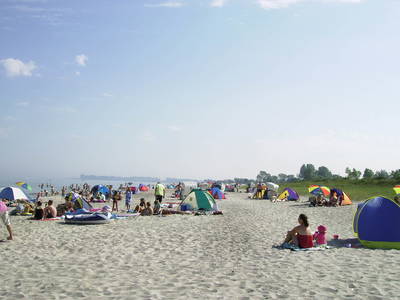 Bild 19 aus  Landhaus Scholz