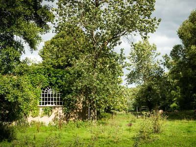 Bild 8 aus  Gut Neuwerk