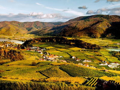 Bild 30 aus  Weingut STRAWANZER Donabaum