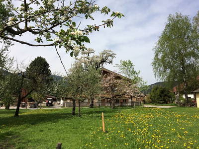 Bild 23 aus  Erbhof Kleintödling