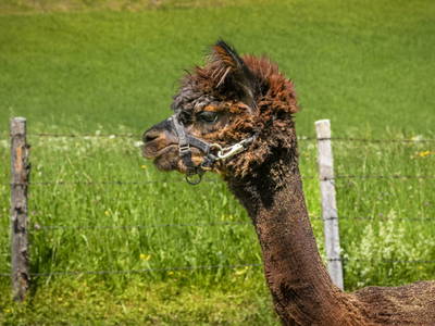 Bild 11 aus  Hinterhub