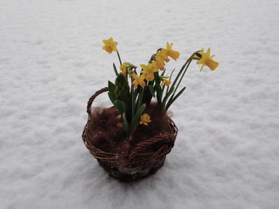 Bild 29 aus  Bräuhauser