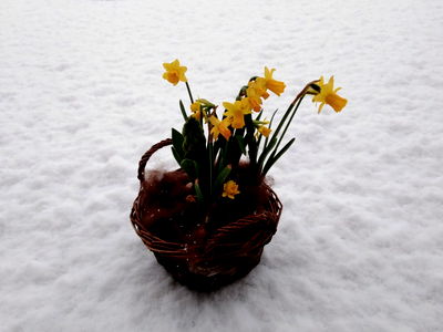 Bild 29 aus Bräuhauser