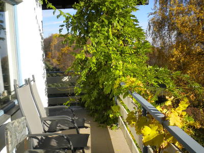 Bild 40 aus  Gästezimmer Weiß