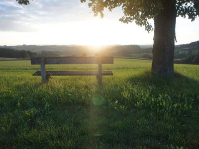 Bild 16 aus  Grainmeister