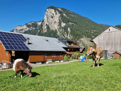 Bild 40 aus  Ferienbauernhof Berlinger