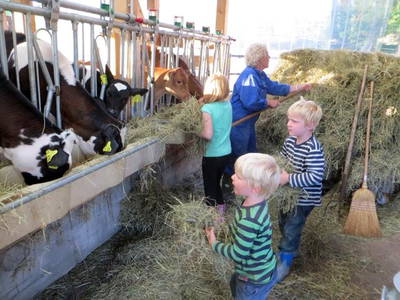 Bild 5 aus  Leihwieserhof