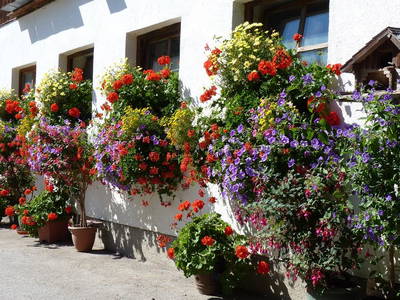 Bild 36 aus  Stückler - Hütte