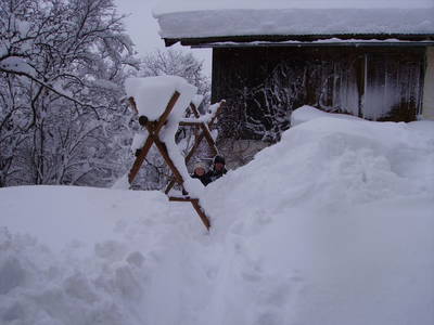 Bild 40 aus  Brandstatt