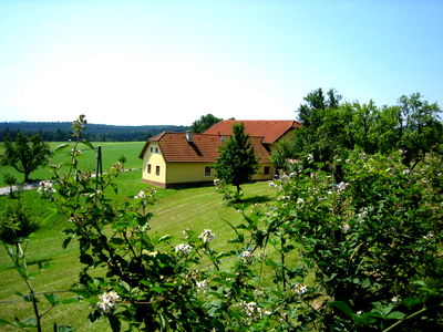 Bild 9 aus Blumentalhof