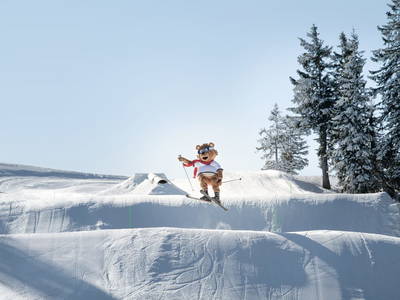 Bild 124 aus  Wald- und Biobauernhof Roithhof 