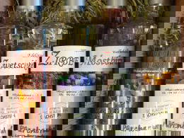 Bild 182 aus  Pürcherhof