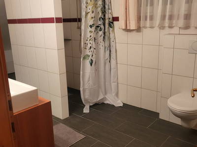 Bild 175 aus  Thalhammer