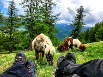 Bild 89 aus  Familienhotel-Gasthof Hinteregger