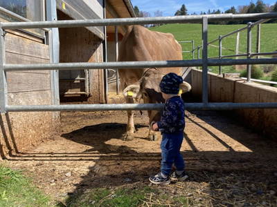 Bild 91 aus  Familie Nußbaumer 