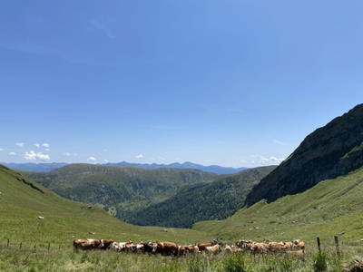 Bild 50 aus  Peitlerhütte