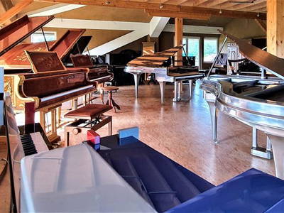 Bild 6 aus  Ferienwohnungen Sund