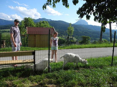 Bild 45 aus  Peter in der Edt