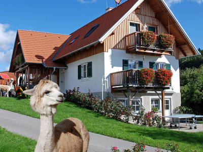 Bild 2 aus  Bauerngloesl