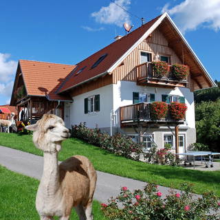 Bauerngloesl aus Siegersdorf bei Herberstein