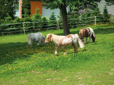 Bild 11 aus  Obermayrgut