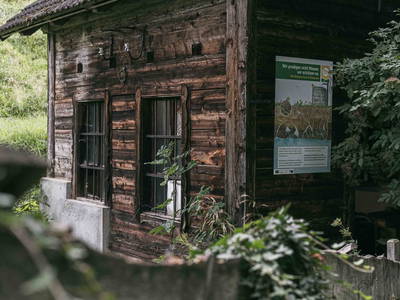 Bild 189 aus Bio- und Vitalbauernhof Bacherhof