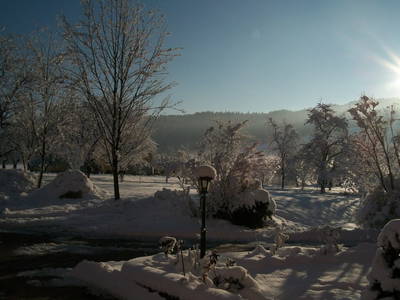 Bild 78 aus  Dichtlhof