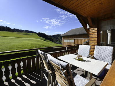 Bild 52 aus  Mühlenhof - auf der Aussichtsterrasse über dem Bodensee