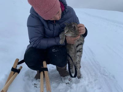 Bild 45 aus  Untere Roner Kasa - Suntinger 