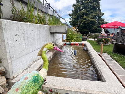 Bild 106 aus  Ferienwohnung Wallner