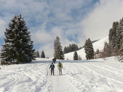 Bild 31 aus  Bauniglerhof