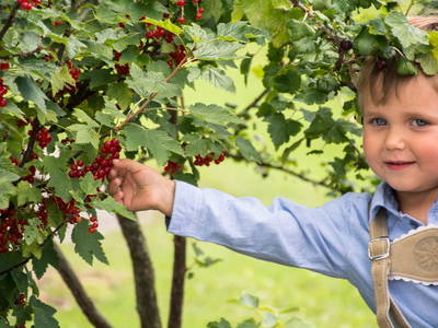 Bild 60 aus  Almhof Unterranner