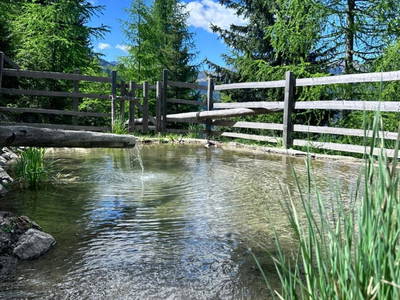 Bild 189 aus  Wallneralm