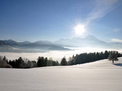 Bild 26 aus  Ferienhof Berger