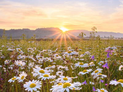 Bild 143 aus  Landhaus Sofie