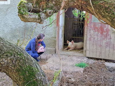 Bild 45 aus Ferienhaus Warga